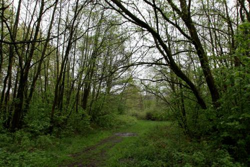 3.BaumgeisterCampBeltane2012-Marga19